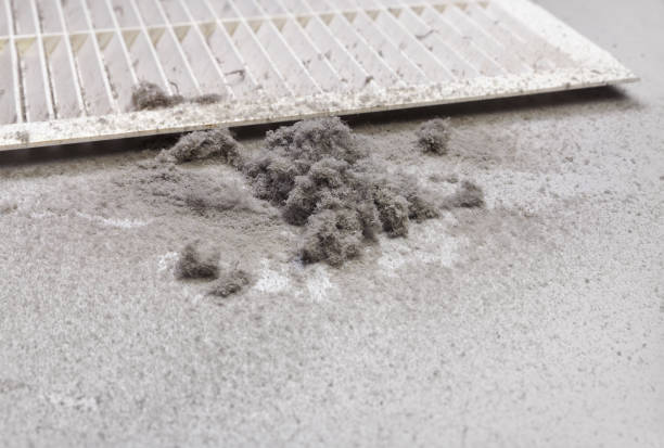 Best Air Duct Cleaning Near Me  in Sugarmill Woods, FL