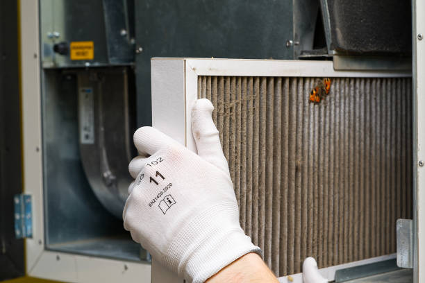 Best Dryer Vent Cleaning Services  in Sugarmill Woods, FL