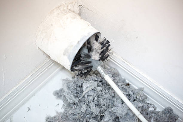 Best Home Air Vent Cleaning  in Sugarmill Woods, FL